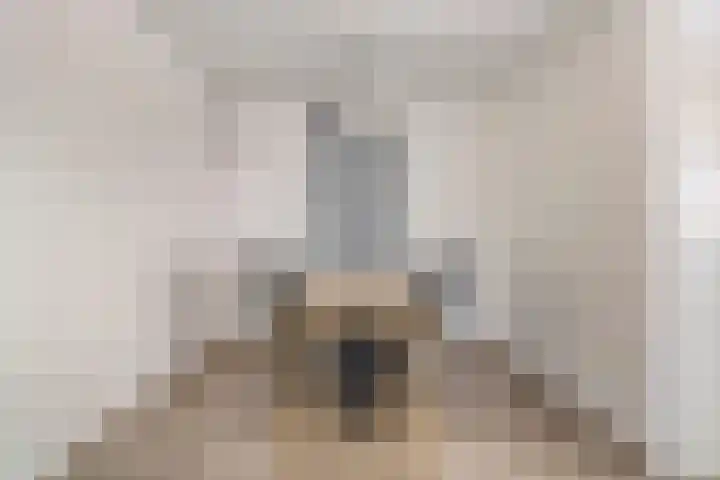 Alm 30 Kaatsheuvel thumbnail 9