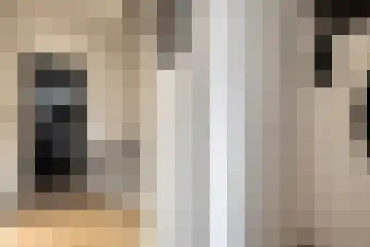 Alm 35 Zwolle thumbnail 13