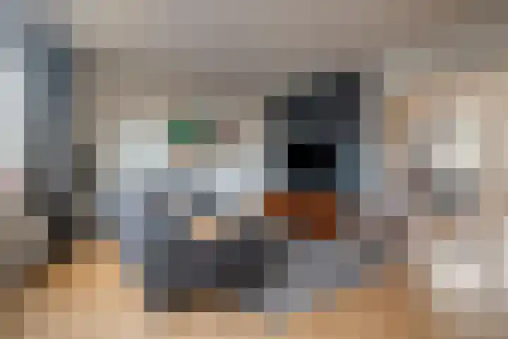 Alm 35 Zwolle thumbnail 18
