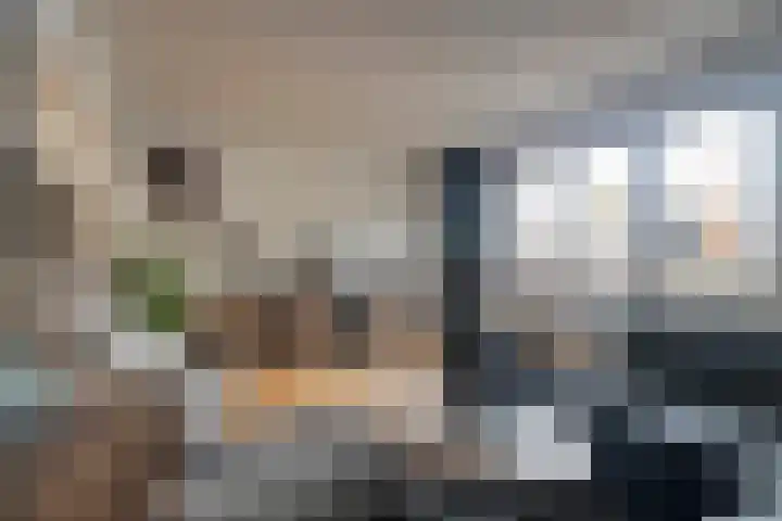 Alm 35 Zwolle thumbnail 19
