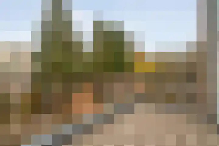 Alm 35 Zwolle thumbnail 20