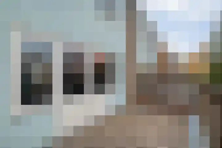 Alm 35 Zwolle thumbnail 21