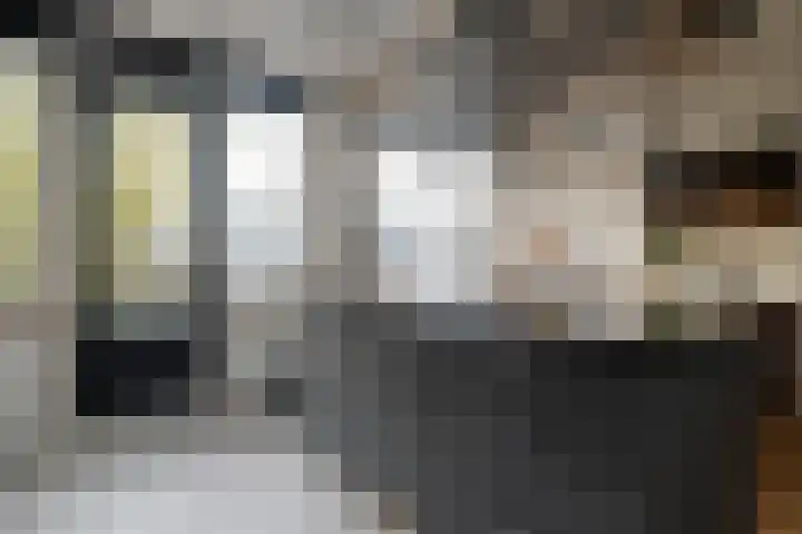 Alm 35 Zwolle thumbnail 26