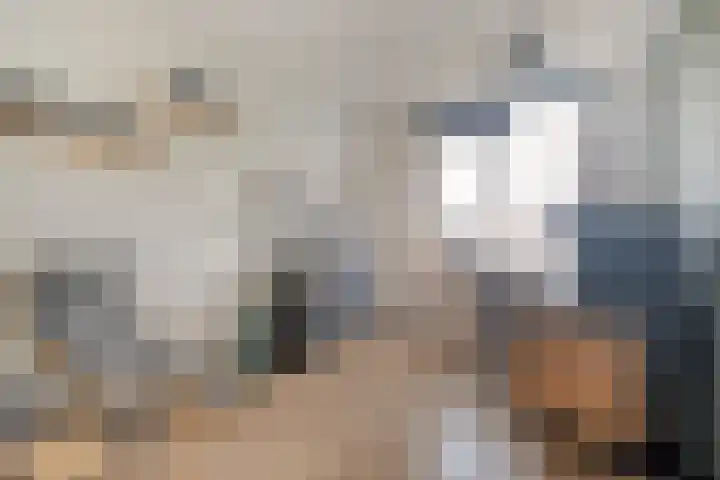 Alm 35 Zwolle thumbnail 30