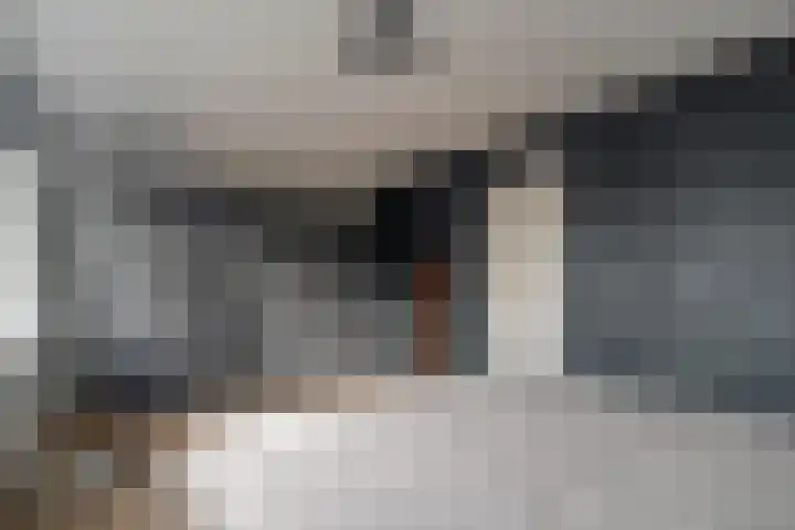 Alm 35 Zwolle thumbnail 32
