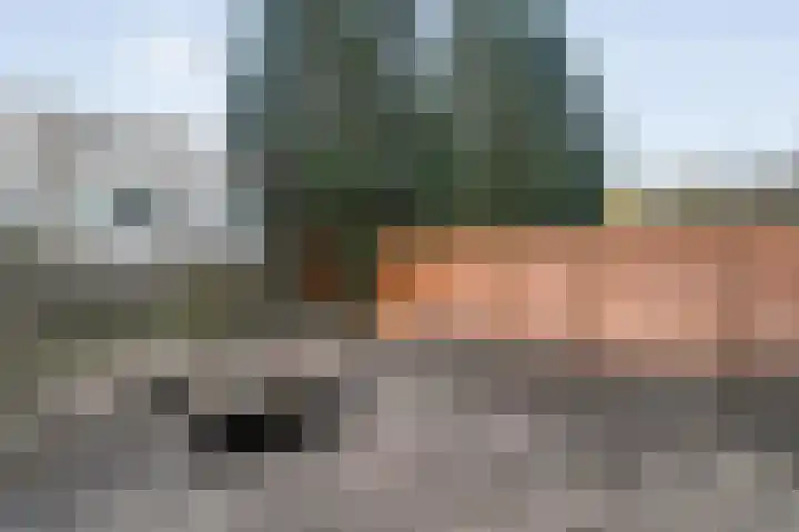 Alm 35 Zwolle thumbnail 35