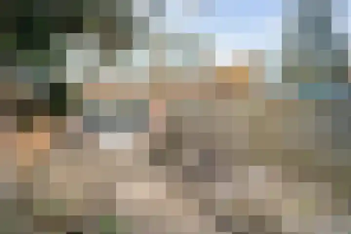 Alm 35 Zwolle thumbnail 36