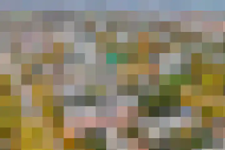 Alm 35 Zwolle thumbnail 7