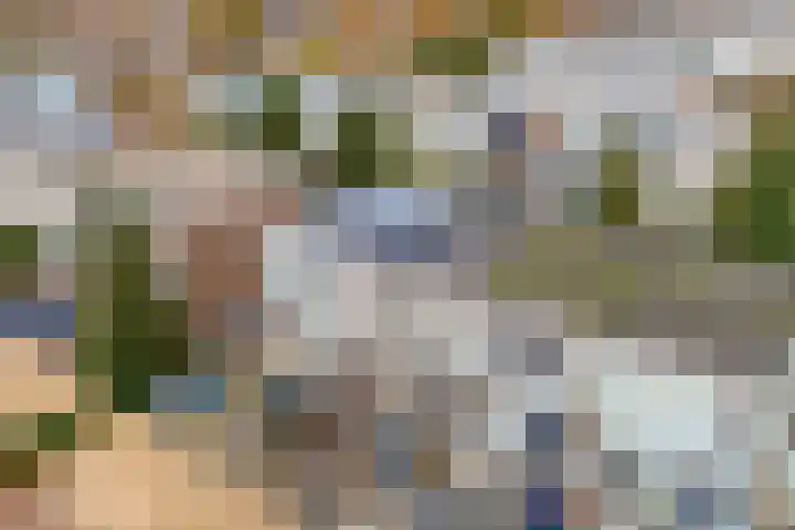 Alm 35 Zwolle thumbnail 9