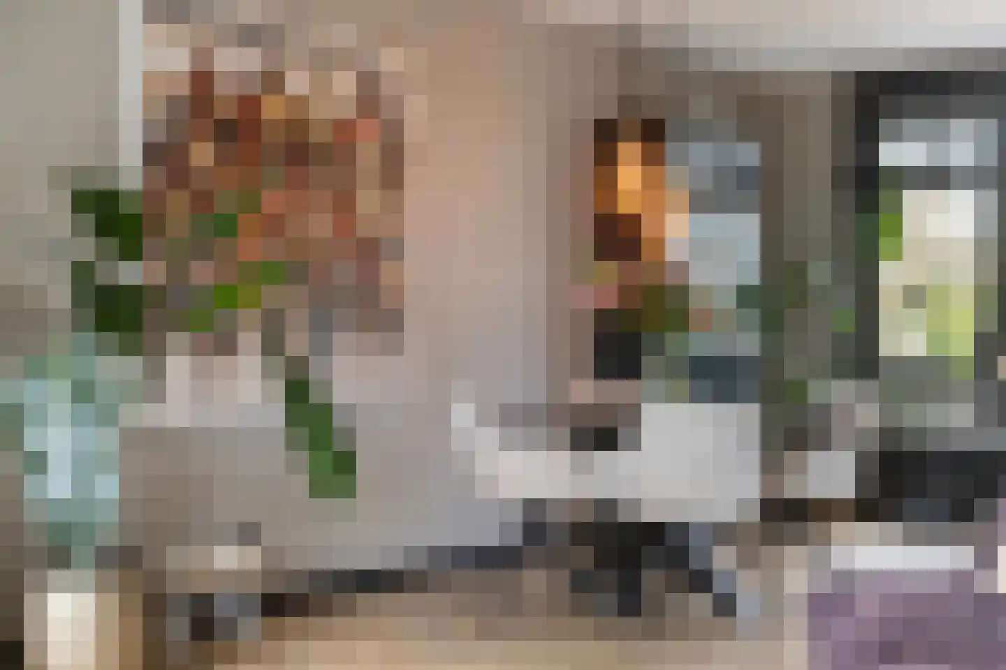 Alm 5 Zwolle thumbnail 10