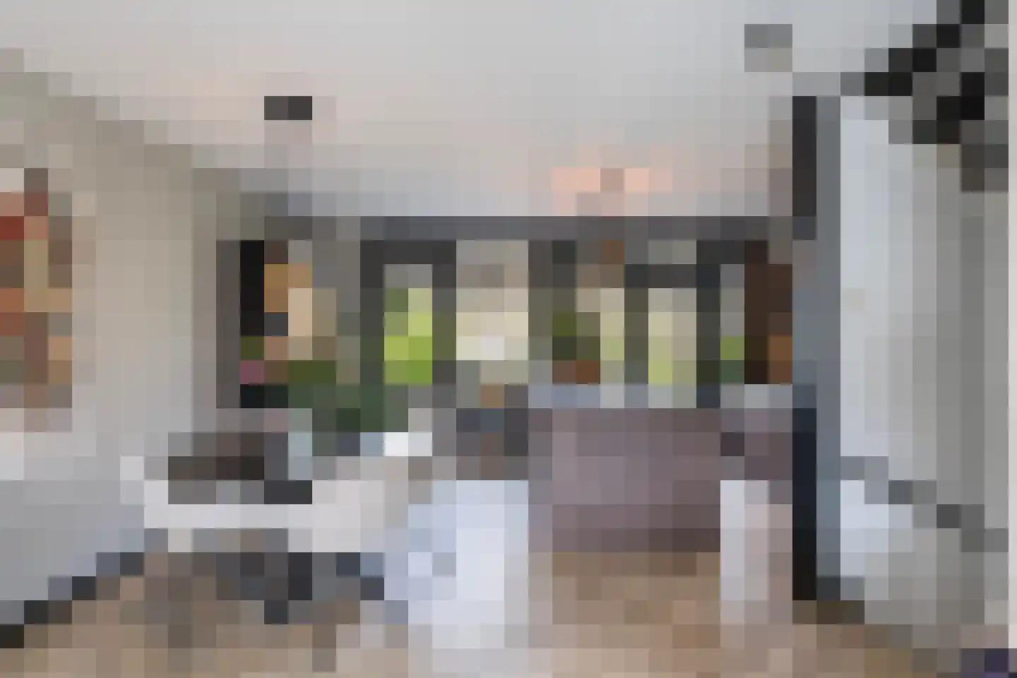 Alm 5 Zwolle thumbnail 12