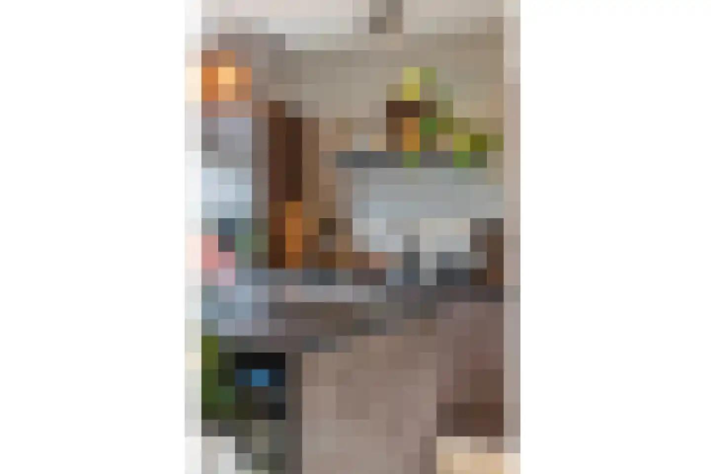 Alm 5 Zwolle thumbnail 21
