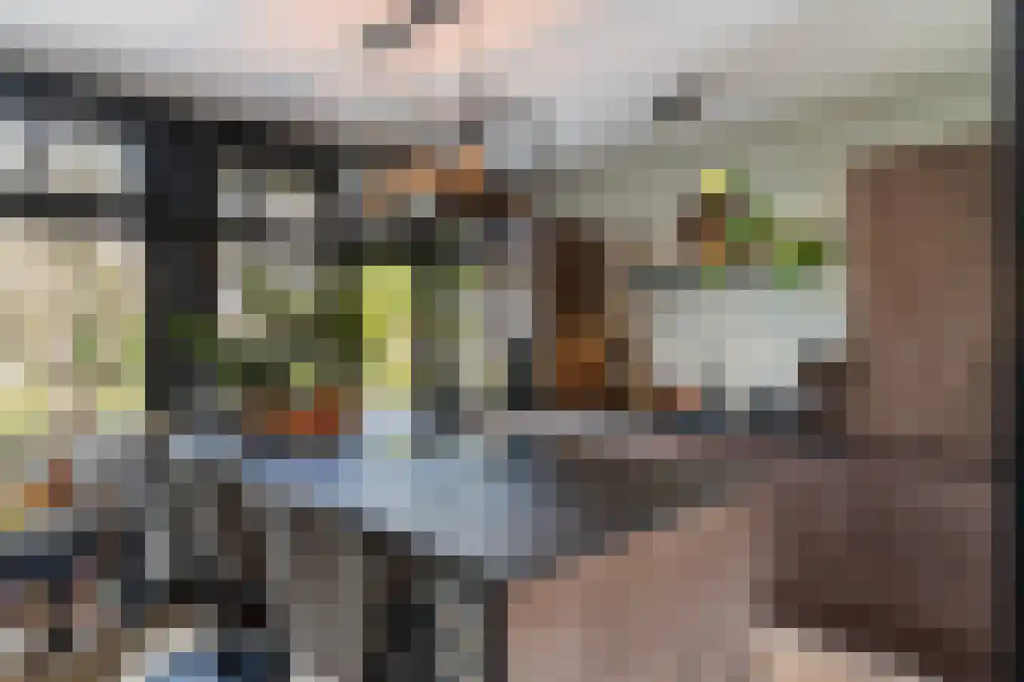 Alm 5 Zwolle thumbnail 22