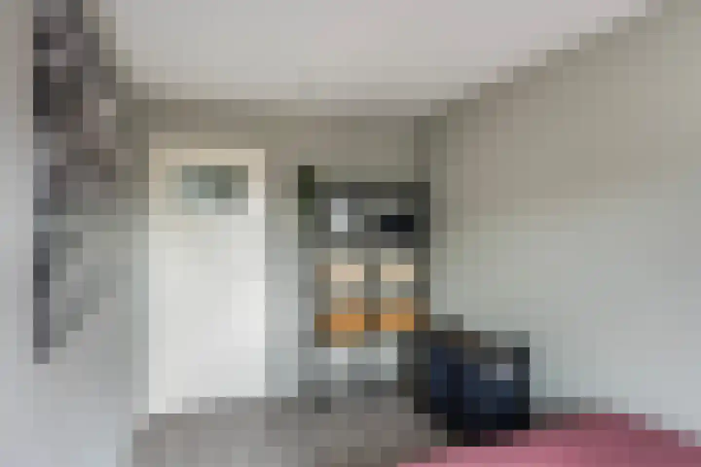 Alm 5 Zwolle thumbnail 30