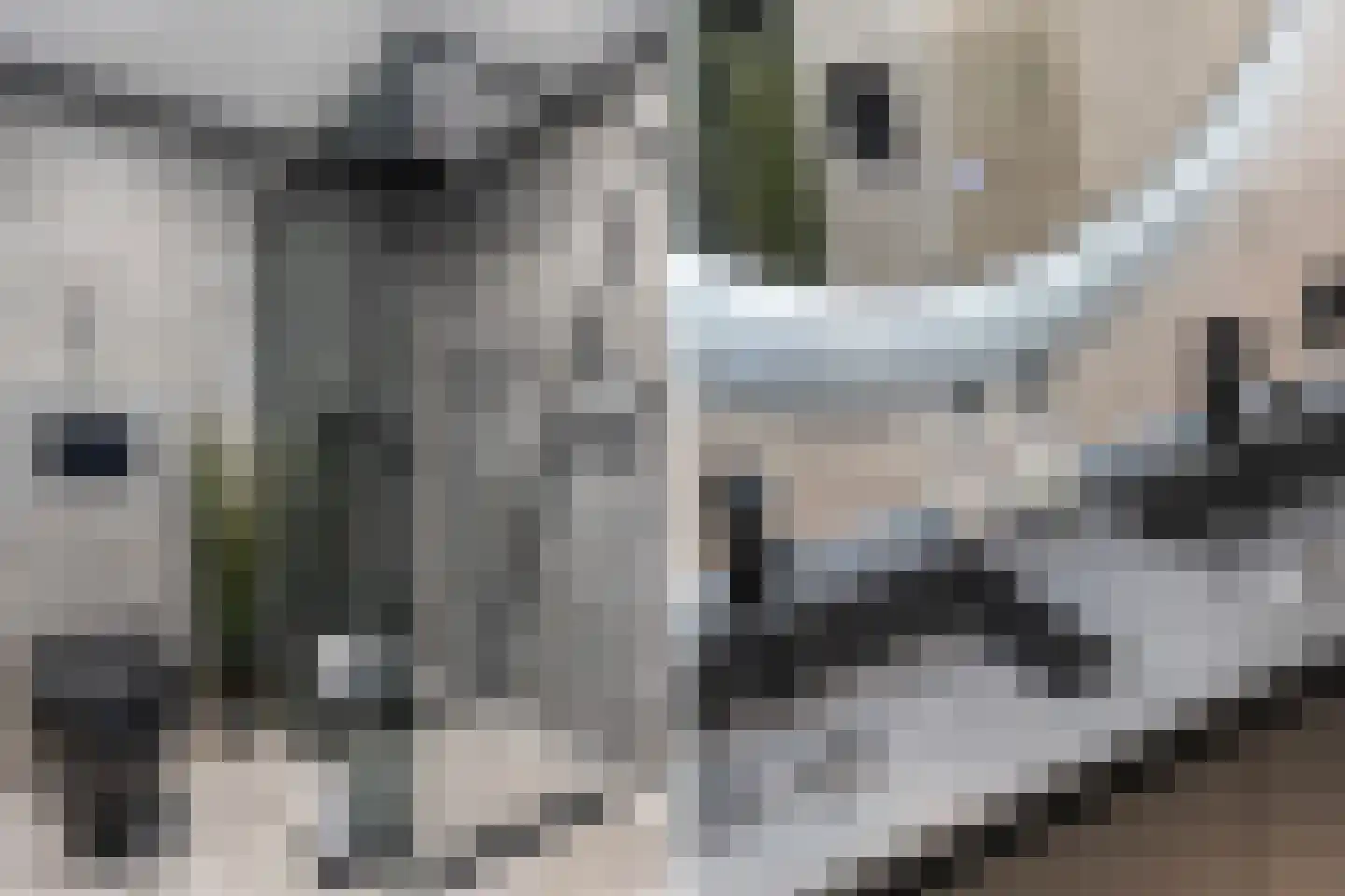 Alm 5 Zwolle thumbnail 36