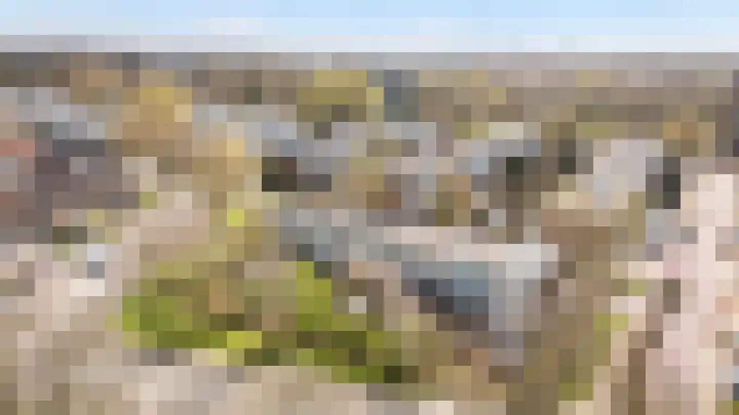 Alm 5 Zwolle thumbnail 37