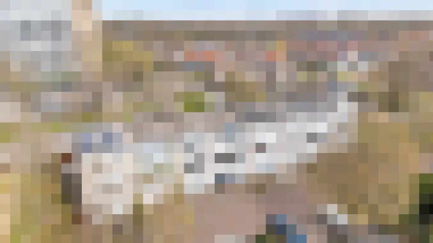 Alm 5 Zwolle thumbnail 4