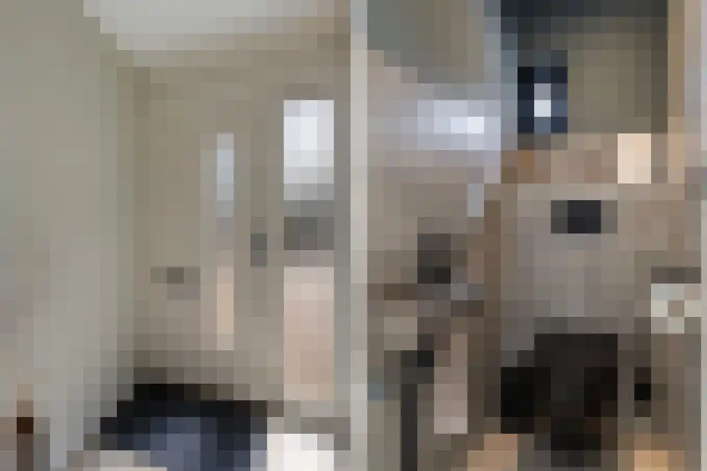 Alm 5 Zwolle thumbnail 6