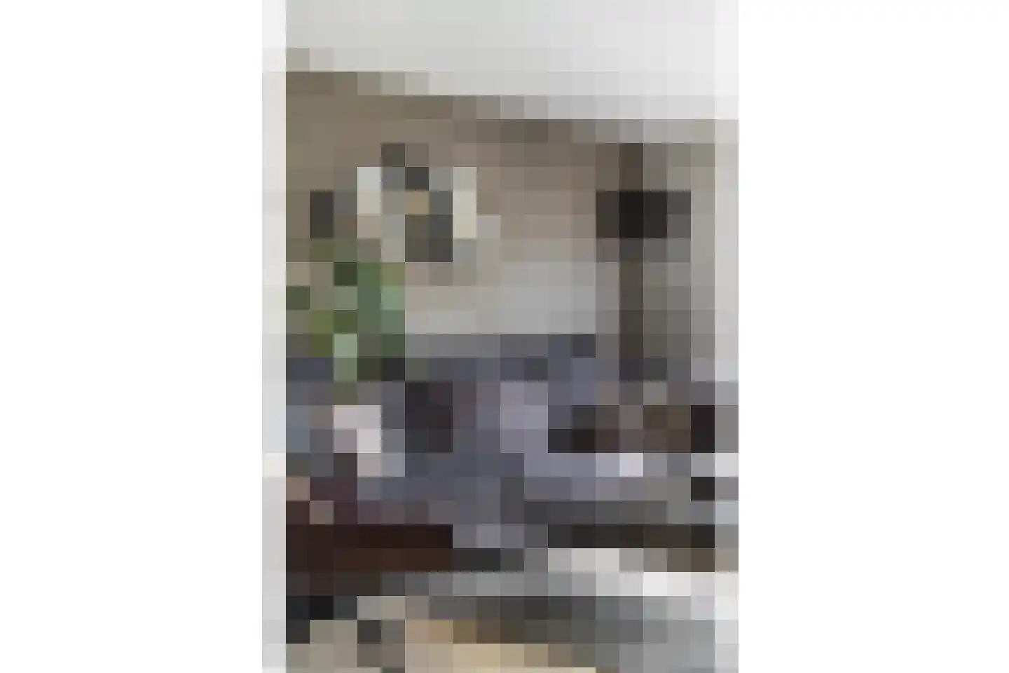Alm 5 Zwolle thumbnail 8