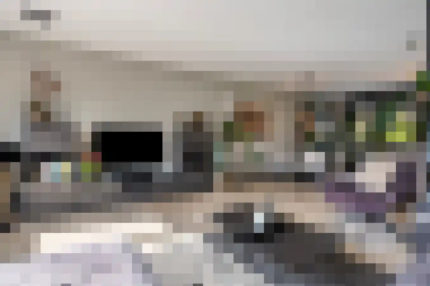 Alm 5 Zwolle thumbnail 9