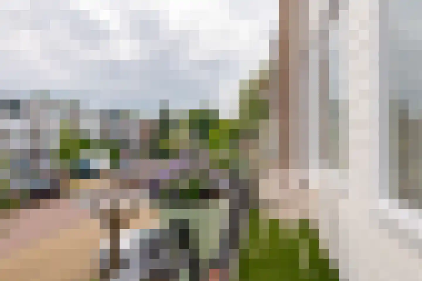 Alm 6 Zwolle thumbnail 22