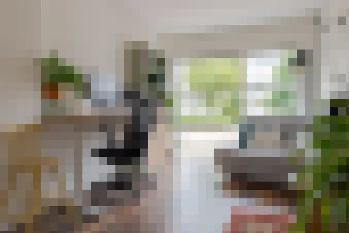 Alm 6 Zwolle thumbnail 28
