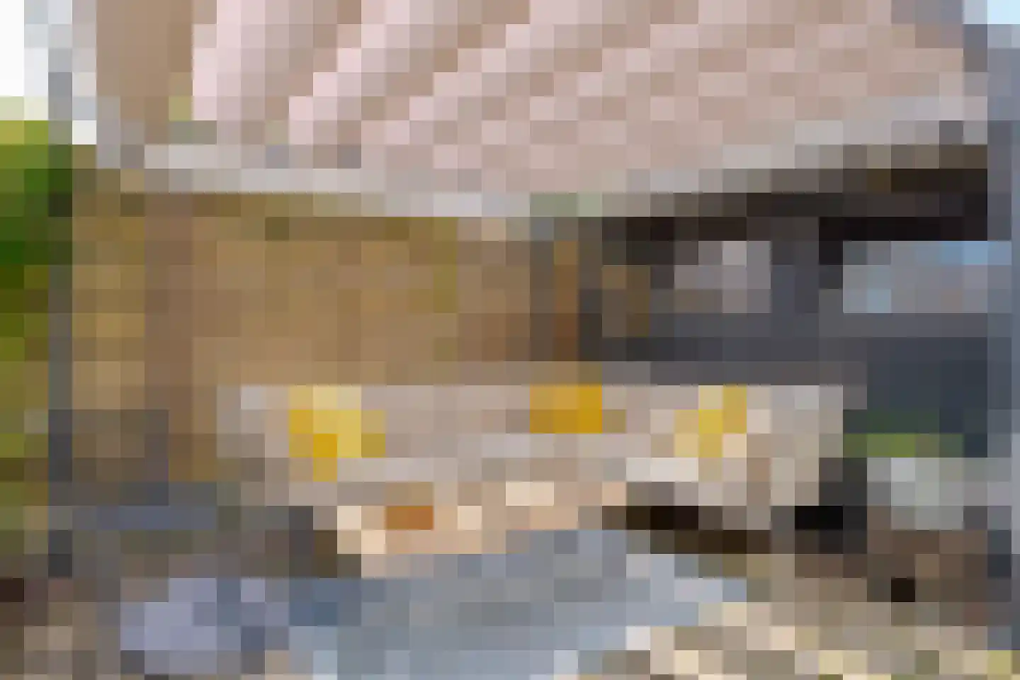 Alm 6 Zwolle thumbnail 40