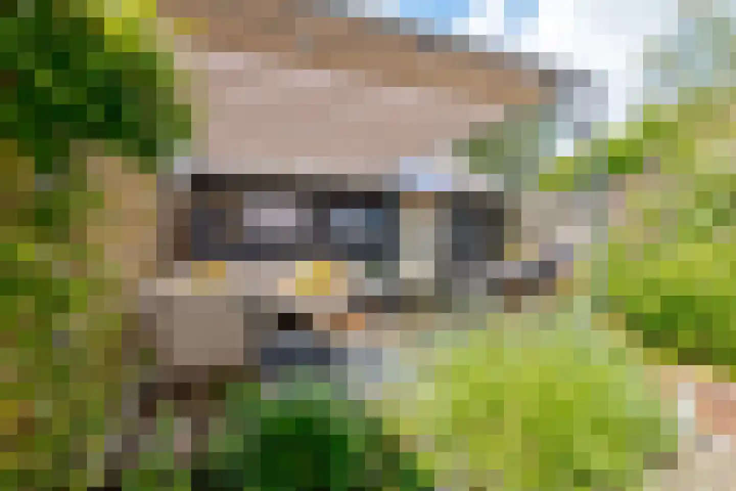 Alm 6 Zwolle thumbnail 42