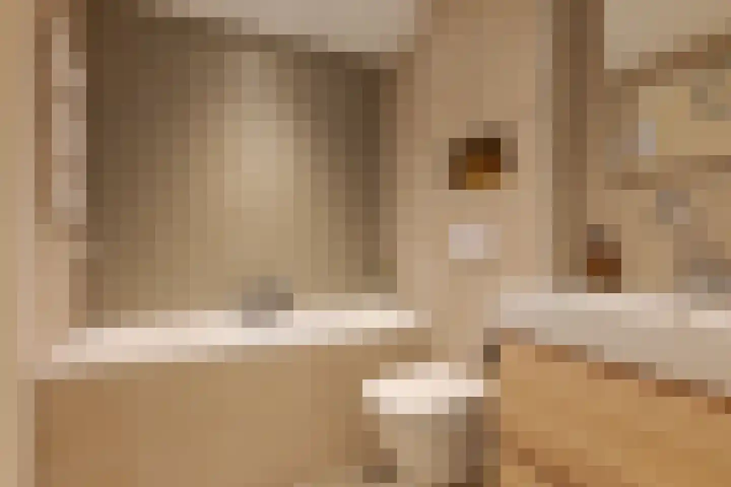 Alm 6 Zwolle thumbnail 57