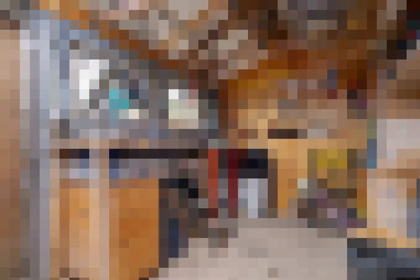 Alm 6 Zwolle thumbnail 59