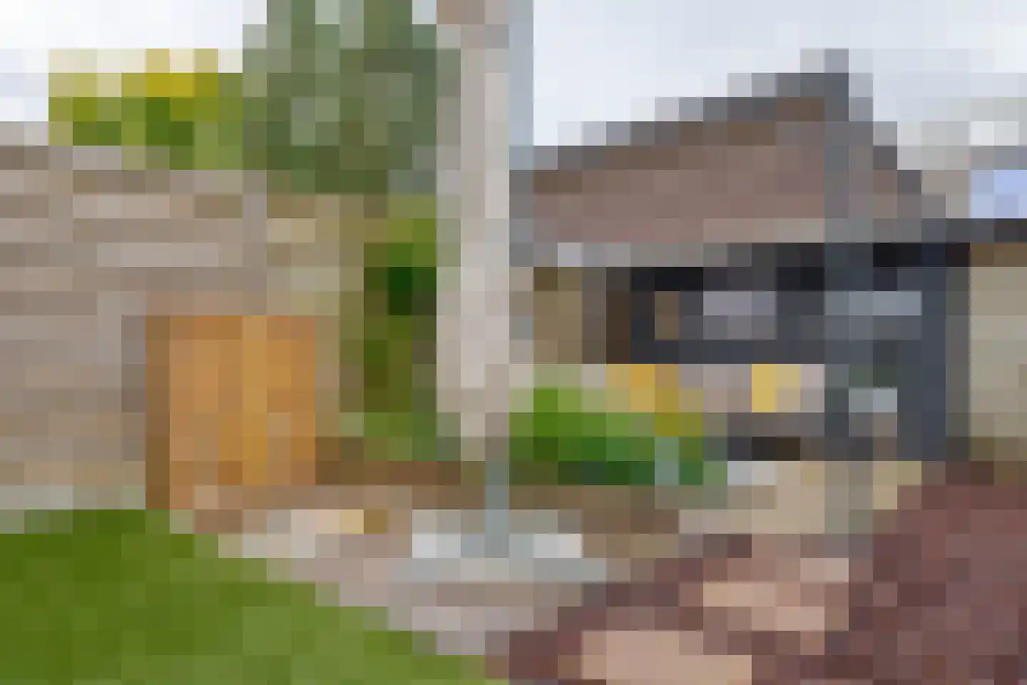 Alm 6 Zwolle thumbnail 61