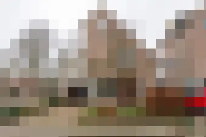 Alm 60 Kaatsheuvel