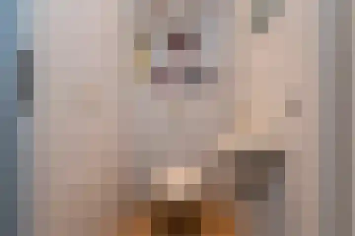 Alm 60 Kaatsheuvel thumbnail 12