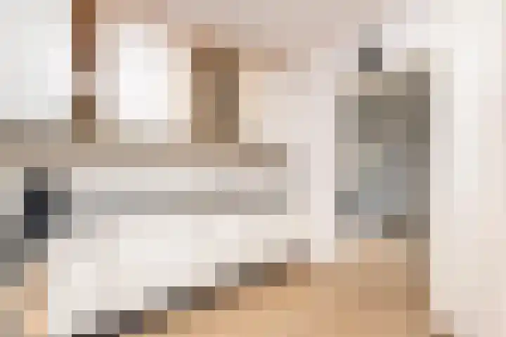 Alm 60 Kaatsheuvel thumbnail 19