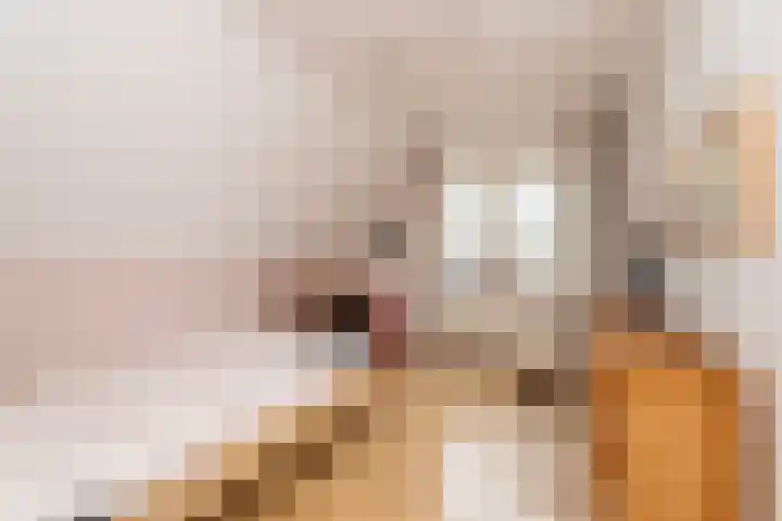 Alm 60 Kaatsheuvel thumbnail 29