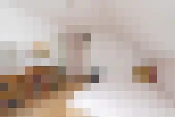Alm 60 Kaatsheuvel thumbnail 30