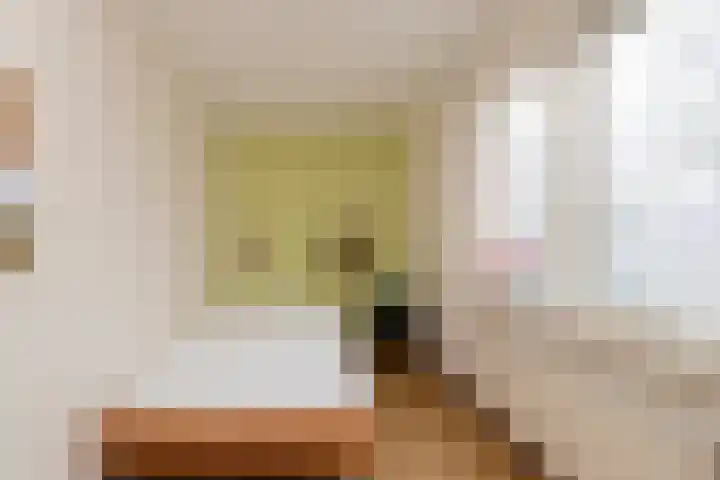 Alm 60 Kaatsheuvel thumbnail 32