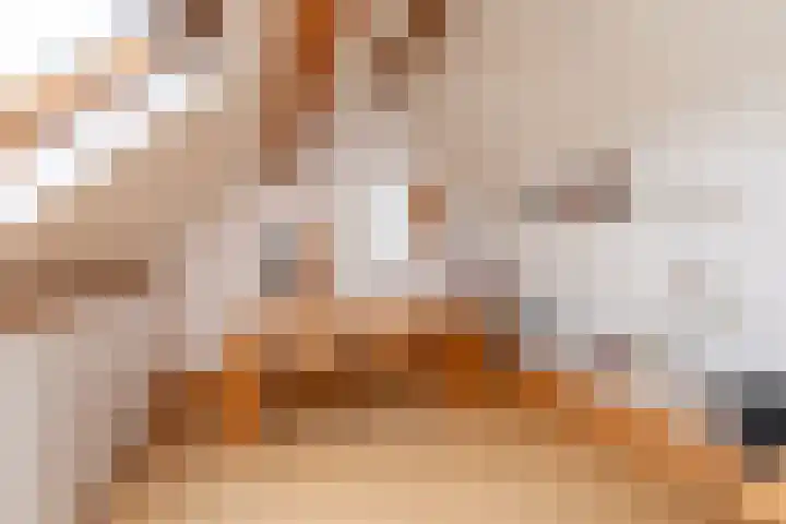 Alm 60 Kaatsheuvel thumbnail 35