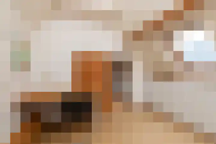 Alm 60 Kaatsheuvel thumbnail 36