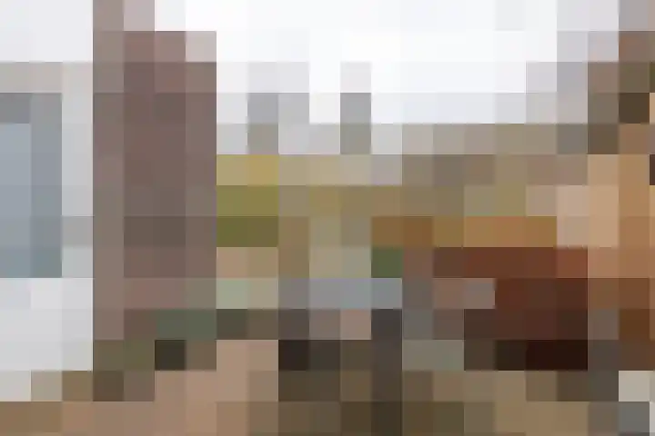Alm 60 Kaatsheuvel thumbnail 37