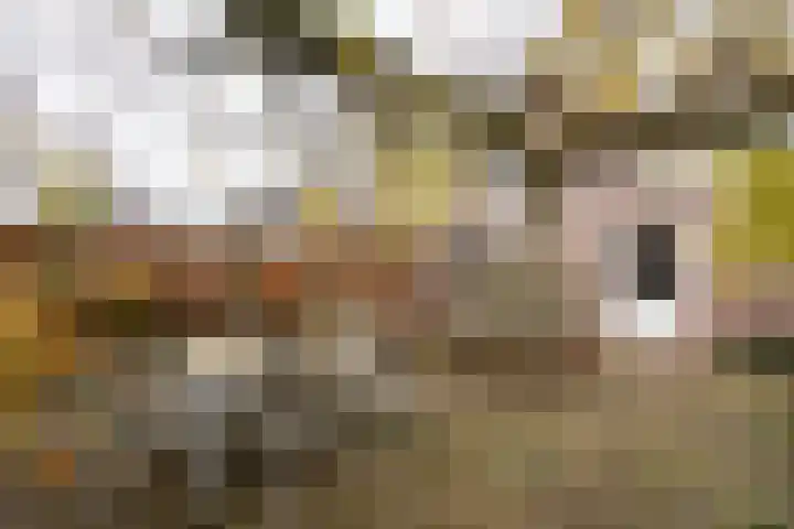 Alm 60 Kaatsheuvel thumbnail 39