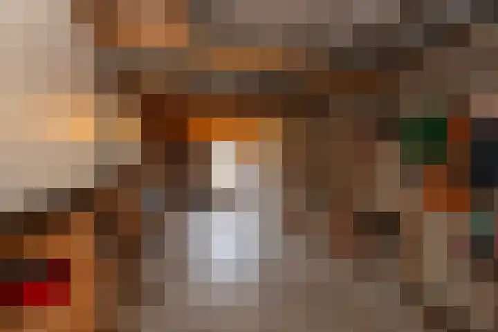 Alm 60 Kaatsheuvel thumbnail 41
