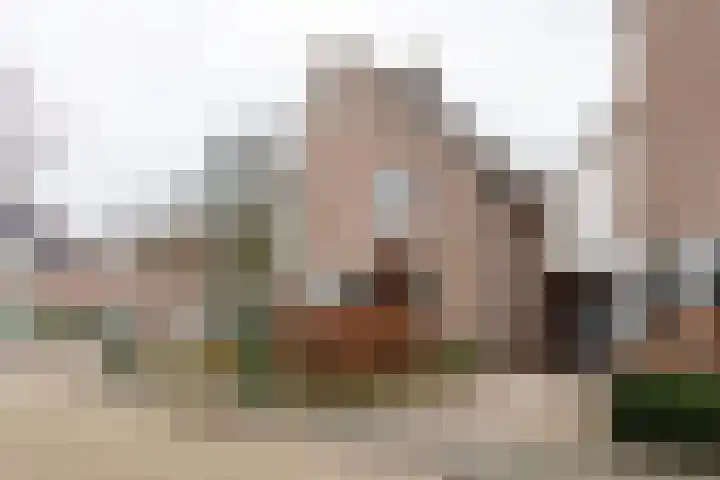 Alm 60 Kaatsheuvel thumbnail 42