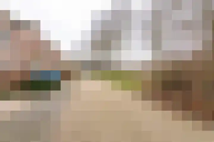 Alm 60 Kaatsheuvel thumbnail 43