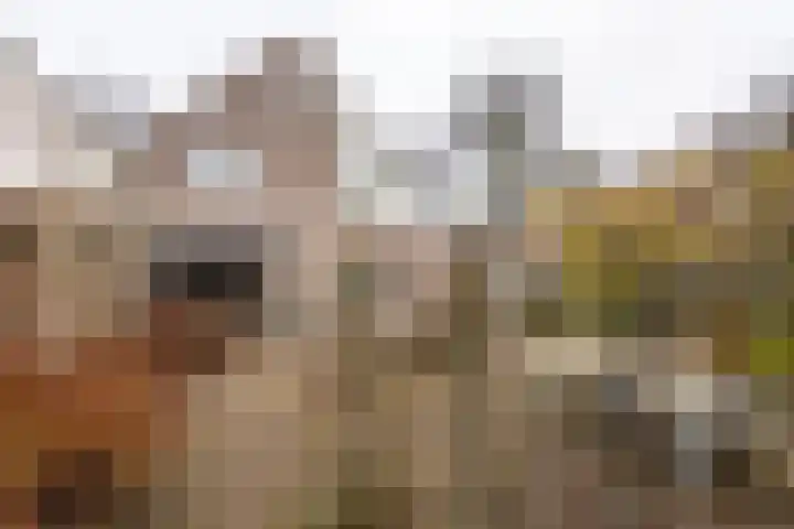 Alm 60 Kaatsheuvel thumbnail 5