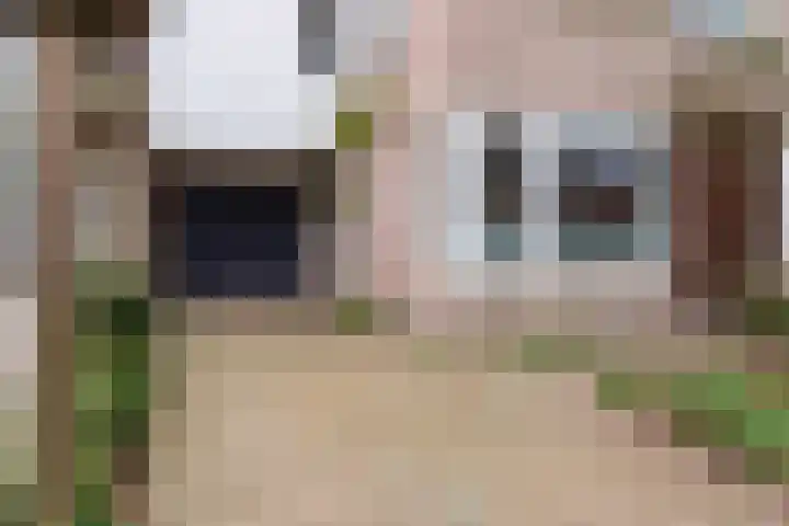 Alm 60 Kaatsheuvel thumbnail 8