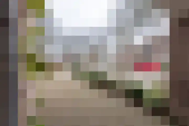 Alm 60 Kaatsheuvel thumbnail 9