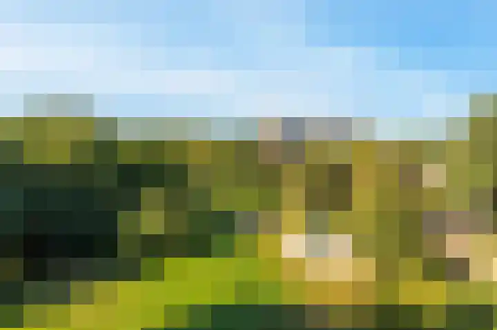 Alm 64 Zwolle thumbnail 11