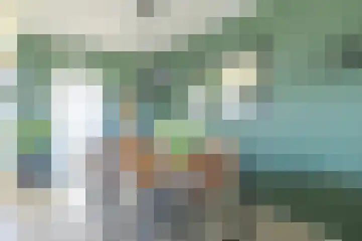 Alm 64 Zwolle thumbnail 12