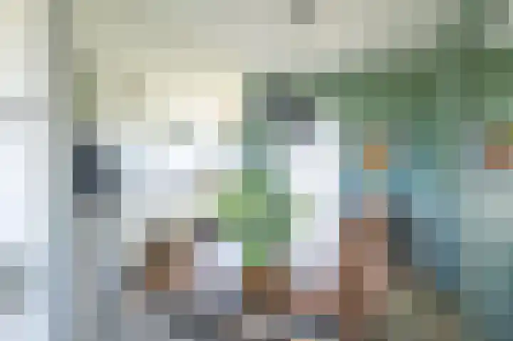 Alm 64 Zwolle thumbnail 13